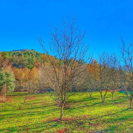 2 Bedrooms Chalet With View And Enclosed Garden At Chalé *